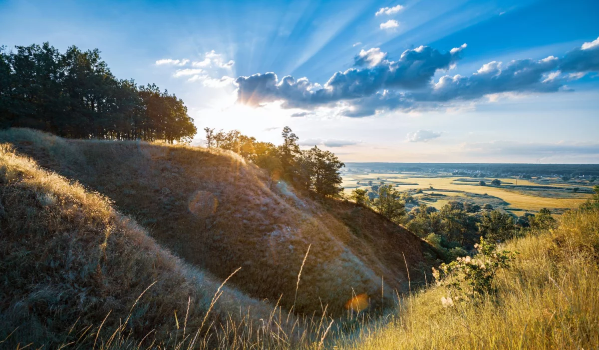 Jak można w 2023  naprawić auto?