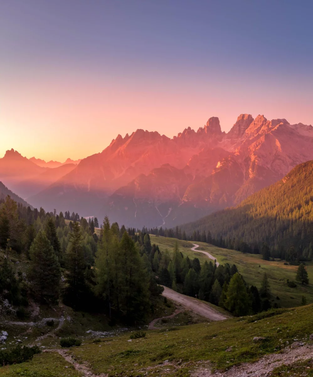 Chciał Tylko robić imprezę. Popełnił Błąd, Który Kosztował Go ...